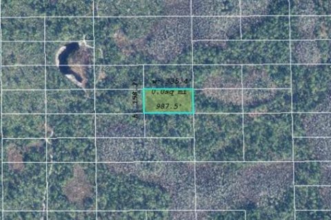 Land in Orlando, Florida № 2219139 - photo 2