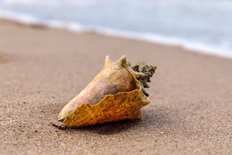 Спрос на недвижимость в сообществе Alys Beach во Флориде за последние годы резко вырос