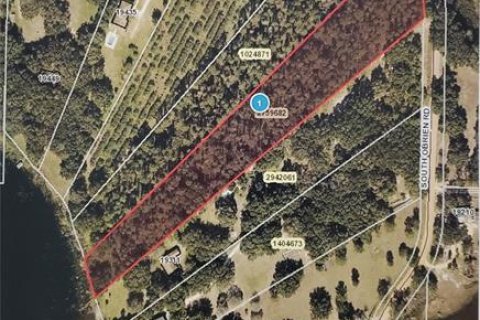 Land in Groveland, Florida № 216355 - photo 1