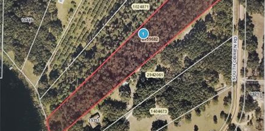 Land in Groveland, Florida № 216355