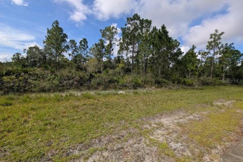 Land in Indian lake estates, Florida № 2344555