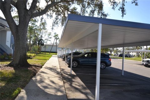 Condo in Oldsmar, Florida, 2 bedrooms  № 1883108 - photo 23