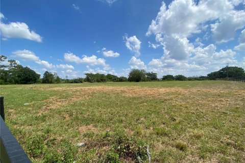 Immobilier commercial à Groveland, Floride № 2136012