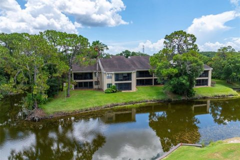 Condo in Oldsmar, Florida, 2 bedrooms № 2200724 - photo 10