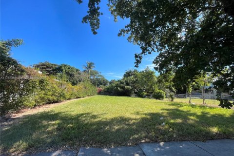 Land in Miami, Florida № 1863120 - photo 1