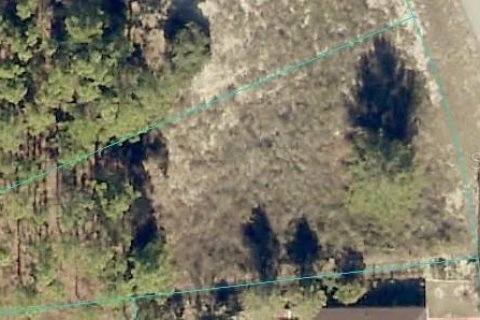 Land in Ocala, Florida № 2395854