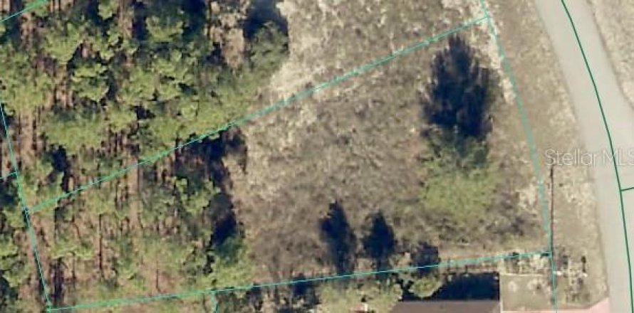 Land in Ocala, Florida № 2395854