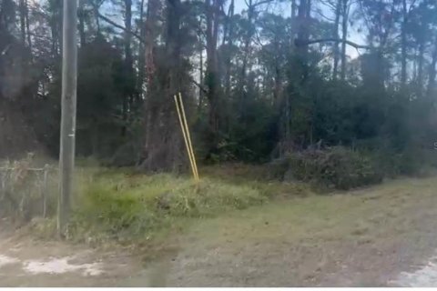 Land in Lake Placid, Florida № 2164964