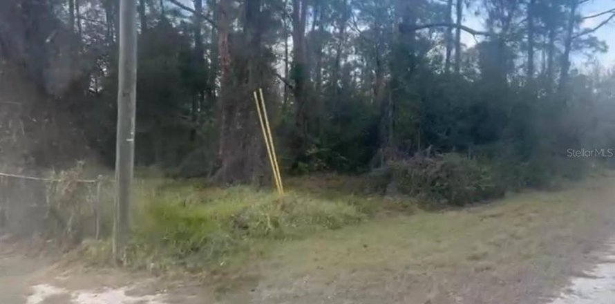 Land in Lake Placid, Florida № 2164964