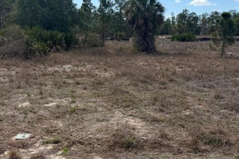 Land in Lehigh Acres, Florida № 2239949 - photo 2