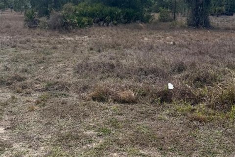 Land in Lehigh Acres, Florida № 2239949 - photo 3