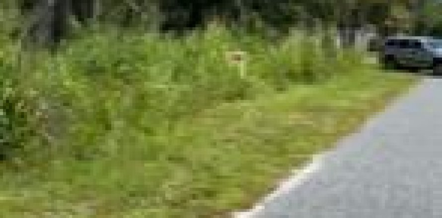 Land in Fort Pierce, Florida № 959606