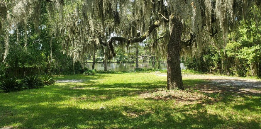 Villa ou maison à Jacksonville, Floride 3 chambres, 196.95 m2 № 769582