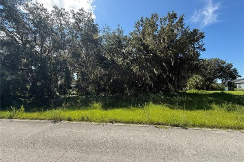 Terreno en venta en Eustis, Florida № 1879070 - foto 1