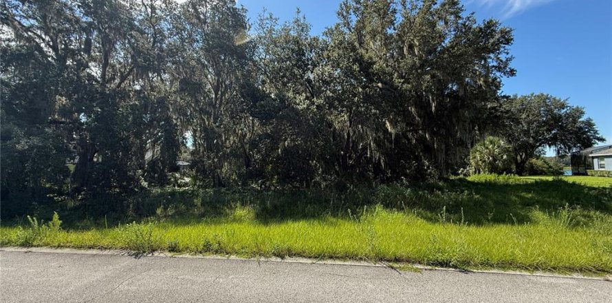 Land in Eustis, Florida № 1879070