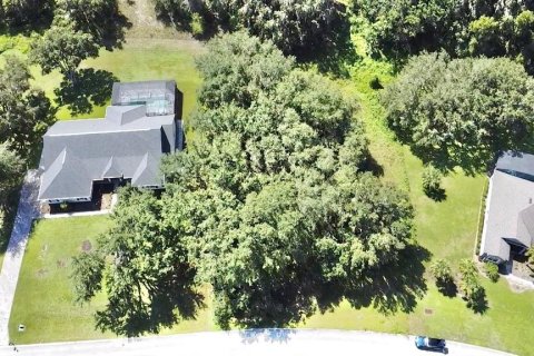 Terreno en venta en Eustis, Florida № 1879070 - foto 3