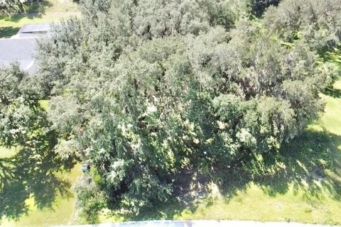 Terreno en venta en Eustis, Florida № 1879070 - foto 7