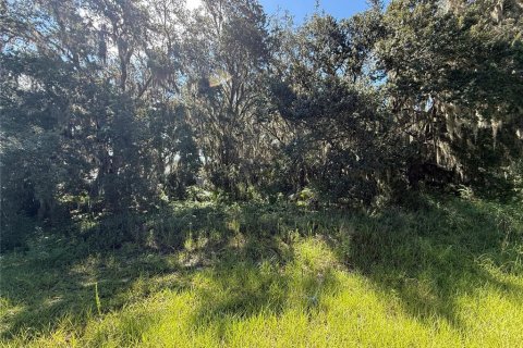 Terreno en venta en Eustis, Florida № 1879070 - foto 5