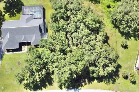 Terreno en venta en Eustis, Florida № 1879070 - foto 6