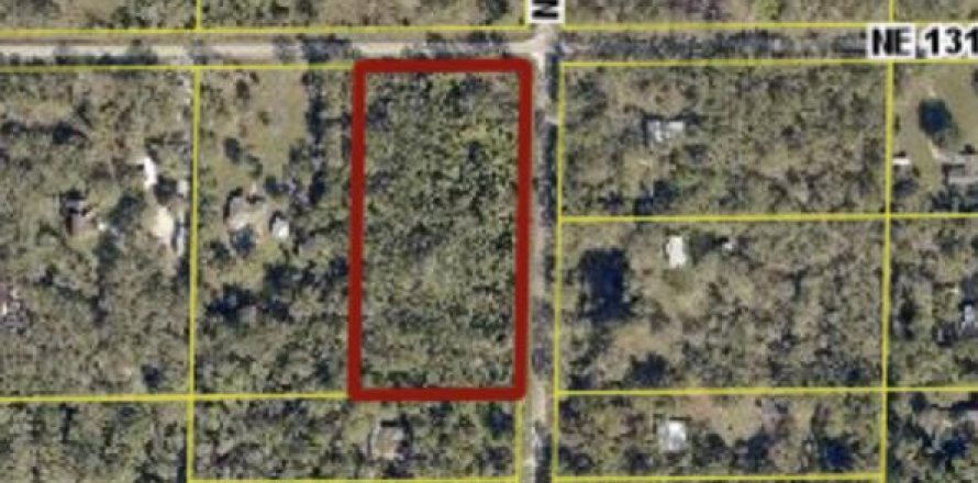 Terreno en Okeechobee, Florida № 1207769
