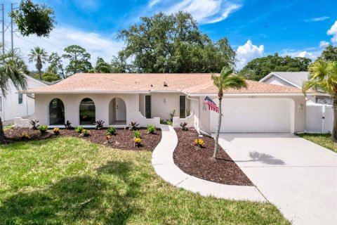 House in Tarpon Springs, Florida 3 bedrooms, 209.31 sq.m. № 1789022 - photo 1