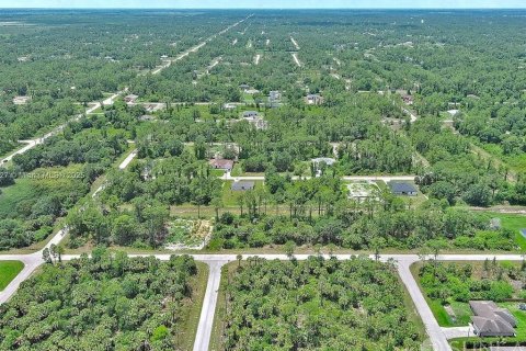 Land in Lehigh Acres, Florida № 2164346 - photo 14