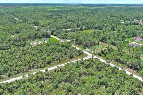 Land in Lehigh Acres, Florida № 2164346 - photo 16
