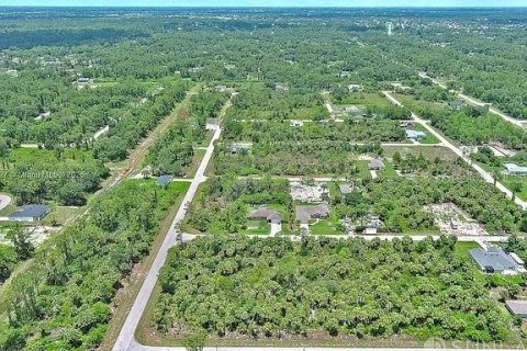 Land in Lehigh Acres, Florida № 2164346 - photo 13