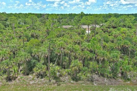 Land in Lehigh Acres, Florida № 2164346