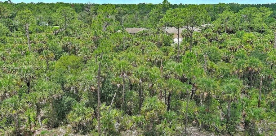 Land in Lehigh Acres, Florida № 2164346
