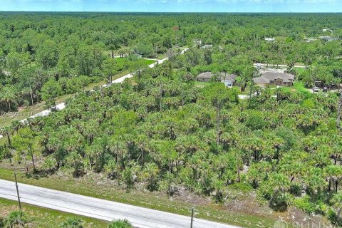 Land in Lehigh Acres, Florida № 2164346 - photo 7