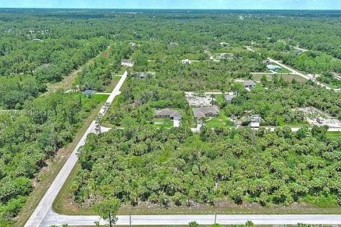 Land in Lehigh Acres, Florida № 2164346 - photo 10