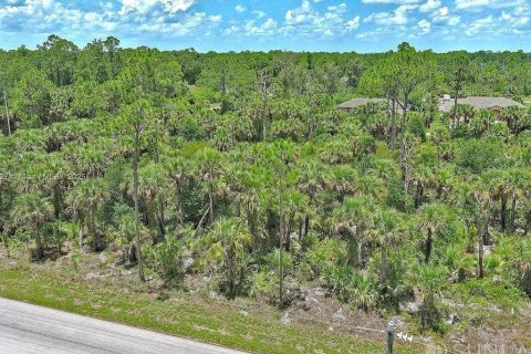 Land in Lehigh Acres, Florida № 2164346 - photo 3