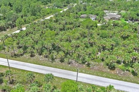 Land in Lehigh Acres, Florida № 2164346 - photo 8