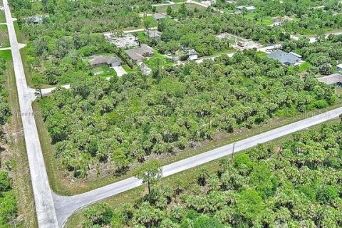 Land in Lehigh Acres, Florida № 2164346 - photo 12