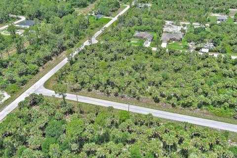 Land in Lehigh Acres, Florida № 2164346 - photo 9