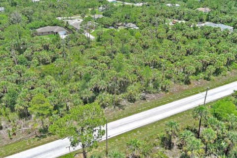 Land in Lehigh Acres, Florida № 2164346 - photo 5