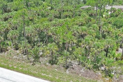 Land in Lehigh Acres, Florida № 2164346 - photo 4