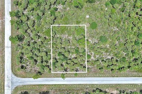 Land in Lehigh Acres, Florida № 2164346 - photo 2