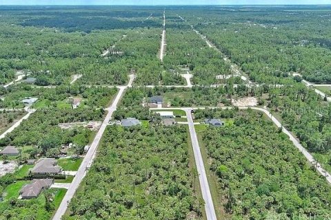 Land in Lehigh Acres, Florida № 2164346 - photo 15