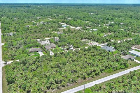 Land in Lehigh Acres, Florida № 2164346 - photo 11
