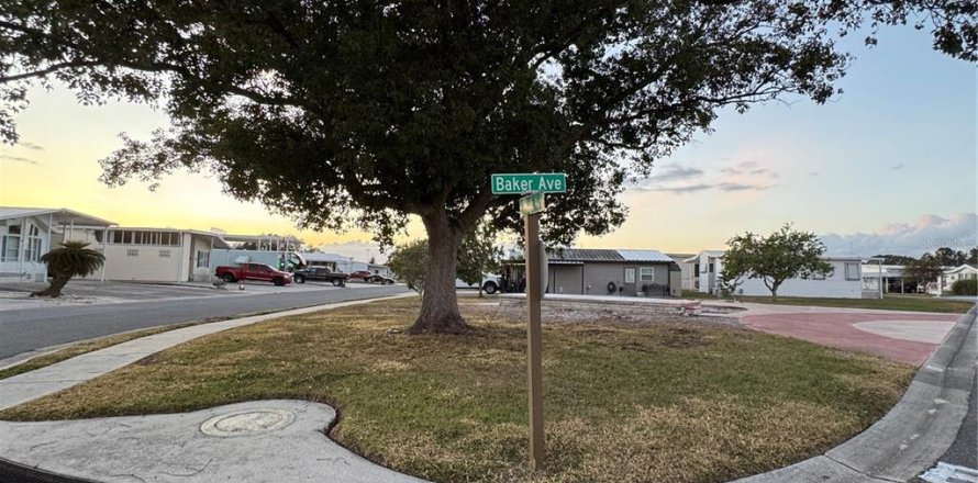 Land in Zephyrhills, Florida № 1720844