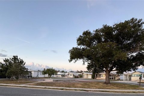 Land in Zephyrhills, Florida № 1720844 - photo 6