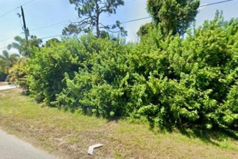 Terreno en venta en Rotonda, Florida № 2165162 - foto 4