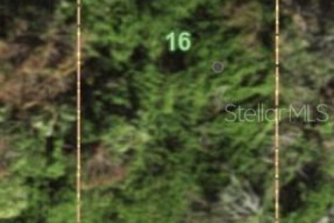 Terreno en venta en Rotonda, Florida № 2165162 - foto 7