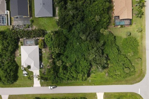 Terreno en venta en Rotonda, Florida № 2165162 - foto 2
