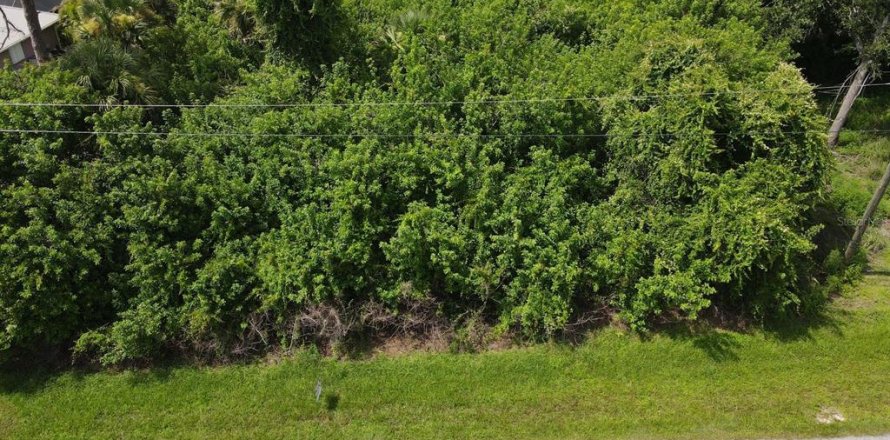 Terreno en Rotonda, Florida № 2165162