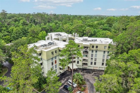 Condo in Gainesville, Florida, 1 bedroom № 2196773 - photo 30