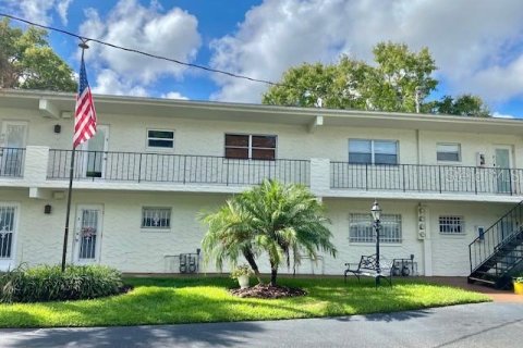 Condo in Mount Dora, Florida, 2 bedrooms  № 1914765 - photo 6