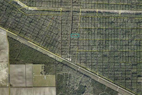 Land in Hastings, Florida № 2164739